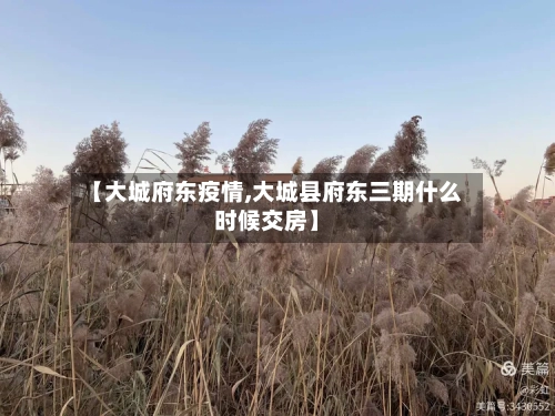 【大城府东疫情,大城县府东三期什么时候交房】-第2张图片