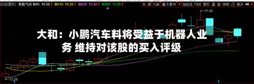 大和：小鹏汽车料将受益于机器人业务 维持对该股的买入评级
