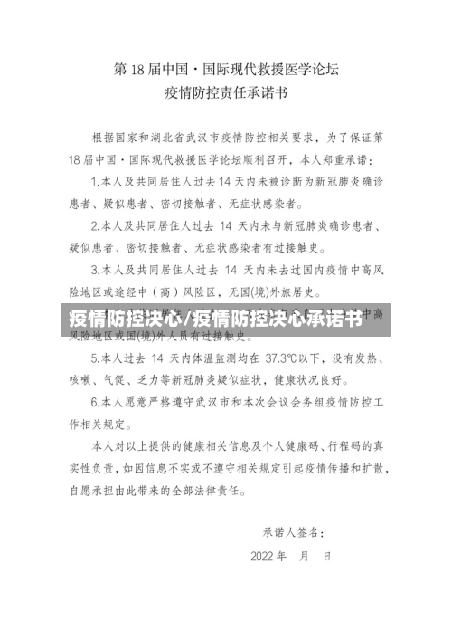 疫情防控决心/疫情防控决心承诺书-第3张图片