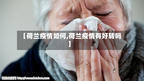 【荷兰疫情如何,荷兰疫情有好转吗】-第3张图片