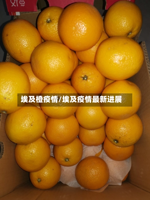 埃及橙疫情/埃及疫情最新进展