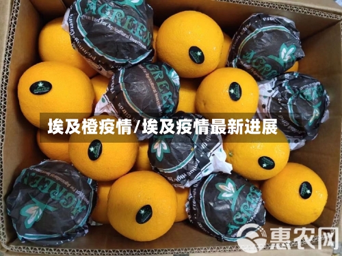 埃及橙疫情/埃及疫情最新进展-第3张图片
