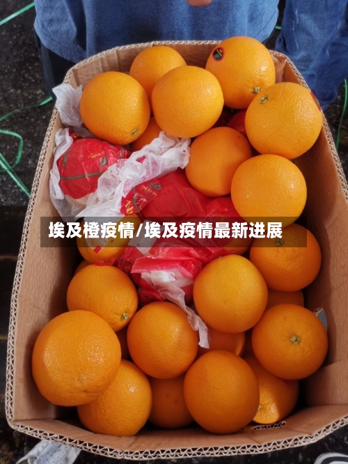 埃及橙疫情/埃及疫情最新进展-第2张图片