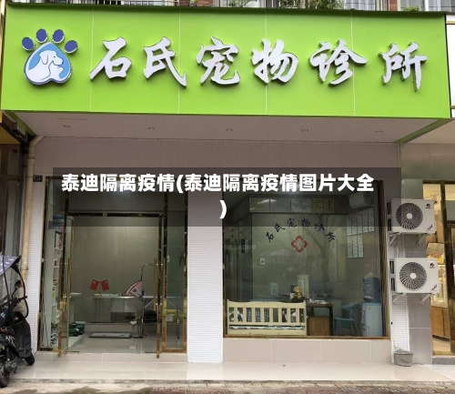 泰迪隔离疫情(泰迪隔离疫情图片大全)