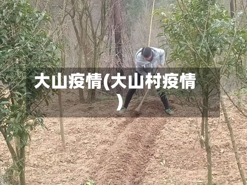 大山疫情(大山村疫情)-第2张图片