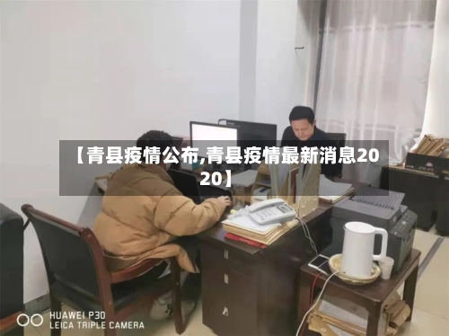 【青县疫情公布,青县疫情最新消息2020】-第3张图片