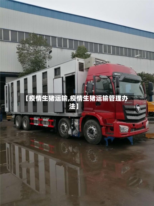 【疫情生猪运输,疫情生猪运输管理办法】-第2张图片