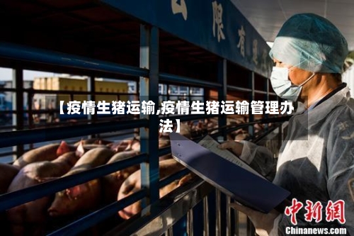 【疫情生猪运输,疫情生猪运输管理办法】