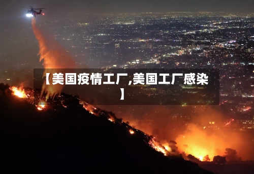 【美国疫情工厂,美国工厂感染】-第3张图片