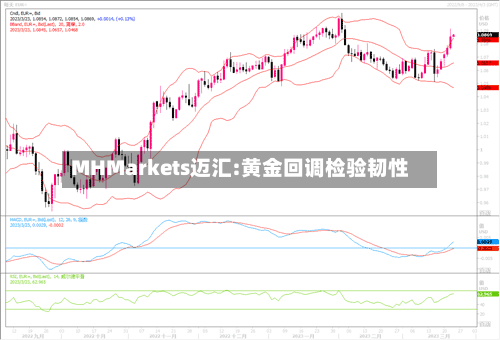 MHMarkets迈汇:黄金回调检验韧性-第3张图片