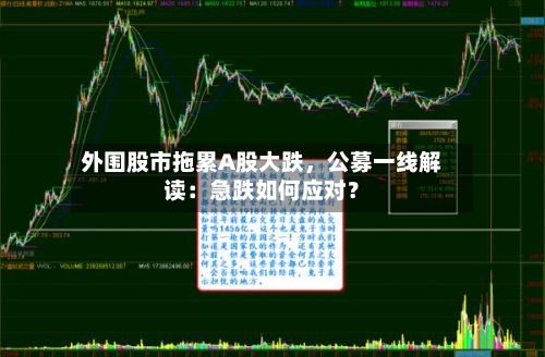 外围股市拖累A股大跌，公募一线解读：急跌如何应对？
