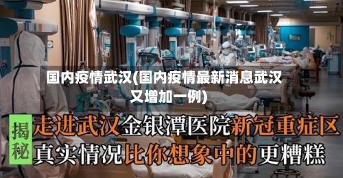 国内疫情武汉(国内疫情最新消息武汉又增加一例)