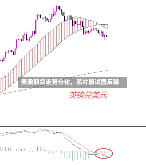 美股期货走势分化，芯片股试图反弹-第2张图片