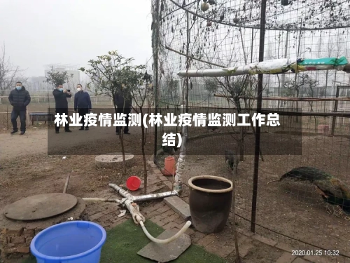 林业疫情监测(林业疫情监测工作总结)