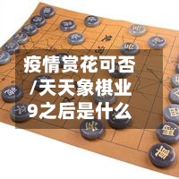 疫情赏花可否/天天象棋业9之后是什么-第3张图片