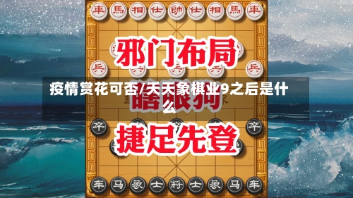 疫情赏花可否/天天象棋业9之后是什么-第2张图片