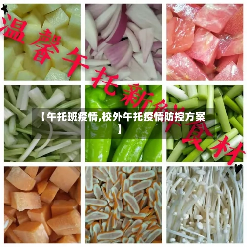 【午托班疫情,校外午托疫情防控方案】-第2张图片