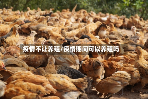 疫情不让养殖/疫情期间可以养殖吗