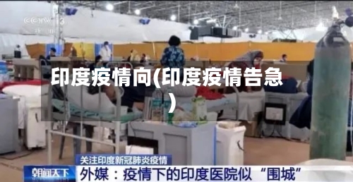 印度疫情向(印度疫情告急)-第2张图片