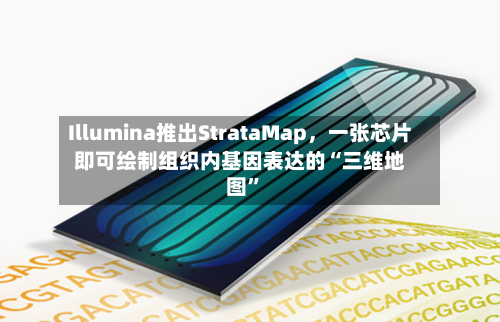 Illumina推出StrataMap	，一张芯片即可绘制组织内基因表达的“三维地图”-第3张图片