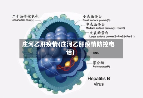 庄河乙肝疫情(庄河乙肝疫情防控电话)-第2张图片