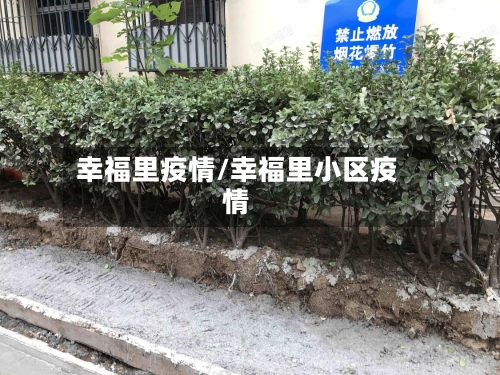 幸福里疫情/幸福里小区疫情