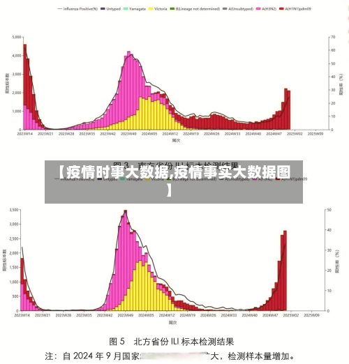 【疫情时事大数据,疫情事实大数据图】-第2张图片