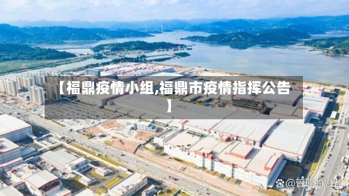 【福鼎疫情小组,福鼎市疫情指挥公告】