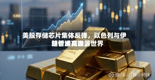 美股存储芯片集体反弹，以色列与伊朗暂缓交火，世界油价冲高回落