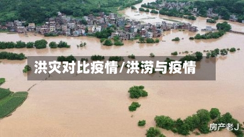 洪灾对比疫情/洪涝与疫情-第2张图片