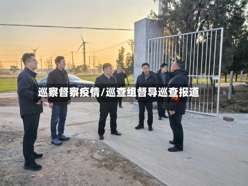 巡察督察疫情/巡查组督导巡查报道