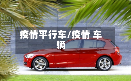 疫情平行车/疫情 车辆-第2张图片