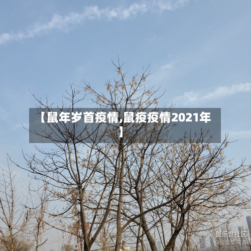 【鼠年岁首疫情,鼠疫疫情2021年】