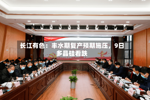 长江有色：丰水期复产预期施压，9日多晶硅看跌