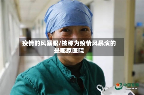 疫情的风暴眼/被称为疫情风暴演的是哪家医院