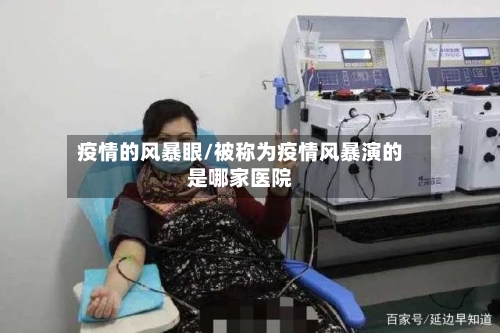 疫情的风暴眼/被称为疫情风暴演的是哪家医院-第2张图片