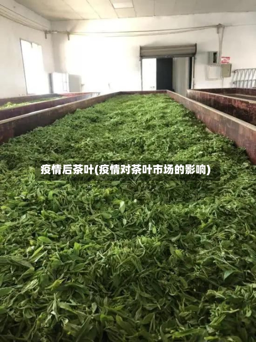 疫情后茶叶(疫情对茶叶市场的影响)