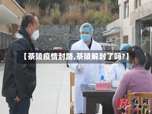 【茶陵疫情封路,茶陵解封了吗?】