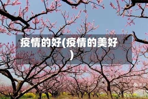 疫情的好(疫情的美好)