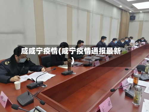 咸咸宁疫情(咸宁疫情通报最新)
