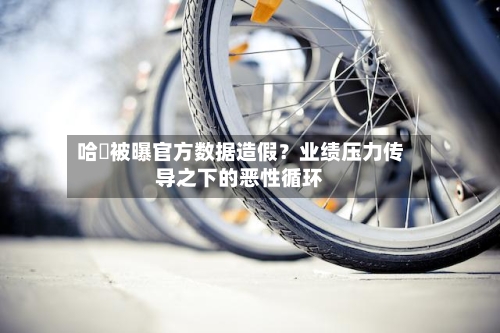 哈啰被曝官方数据造假?业绩压力传导之下的恶性循环-第2张图片