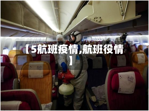 【5航班疫情,航班役情】-第2张图片