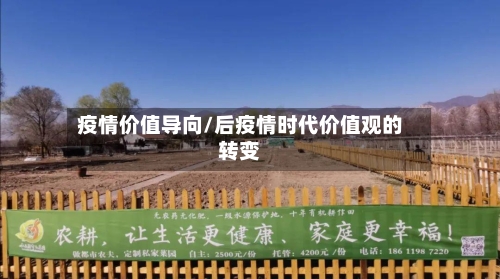疫情价值导向/后疫情时代价值观的转变