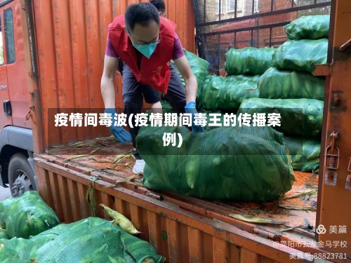疫情间毒波(疫情期间毒王的传播案例)