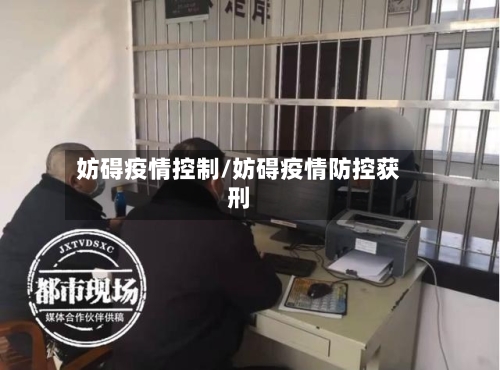 妨碍疫情控制/妨碍疫情防控获刑