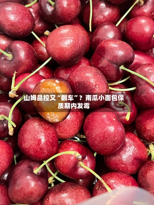 山姆品控又“翻车”？南瓜小面包保质期内发霉-第3张图片