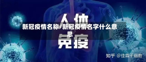 新冠疫情名称/新冠疫情名字什么意思-第3张图片