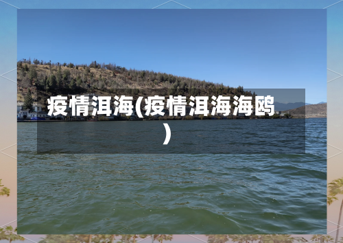 疫情洱海(疫情洱海海鸥)-第3张图片