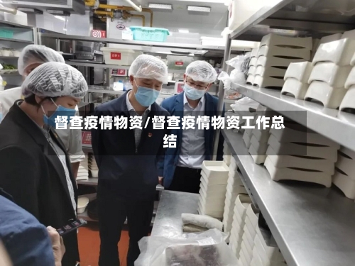 督查疫情物资/督查疫情物资工作总结