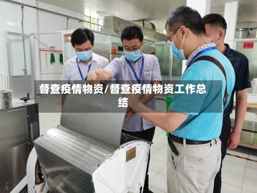 督查疫情物资/督查疫情物资工作总结-第2张图片